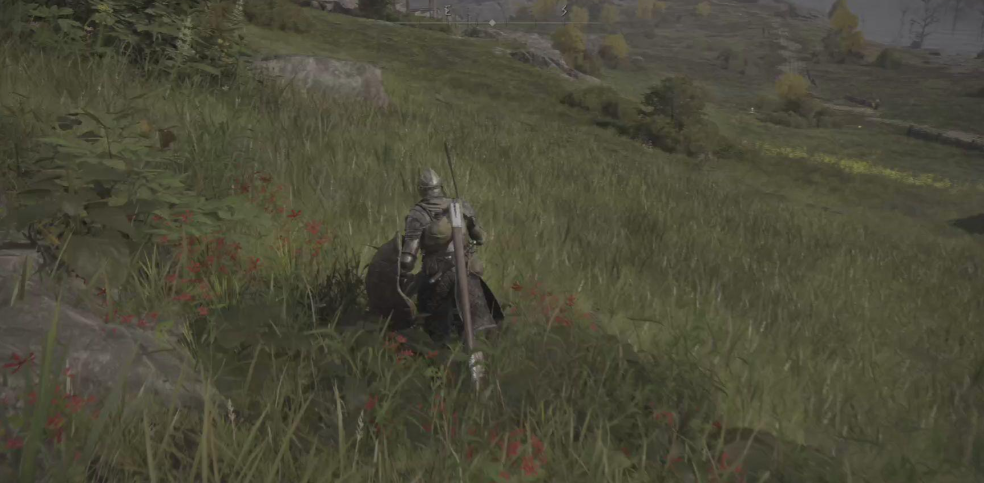 艾尔登法环选什么职业