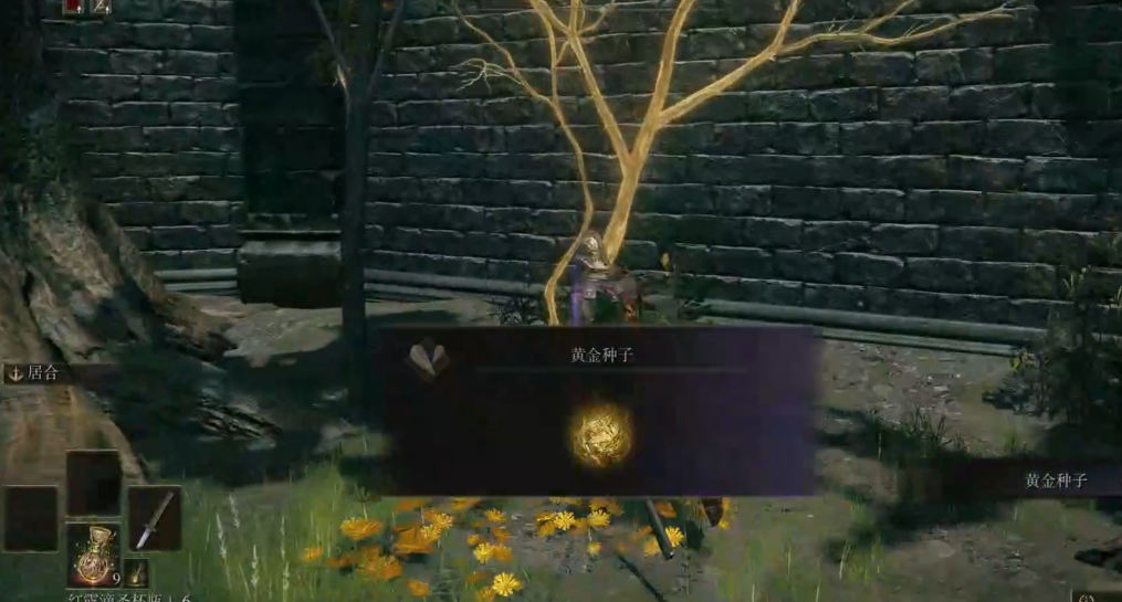 艾尔登法环跑图怎么跑-嘿咕攻略网